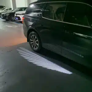 Ford Angel Wing Mirror Light