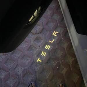 Tesla LED Door Lights​