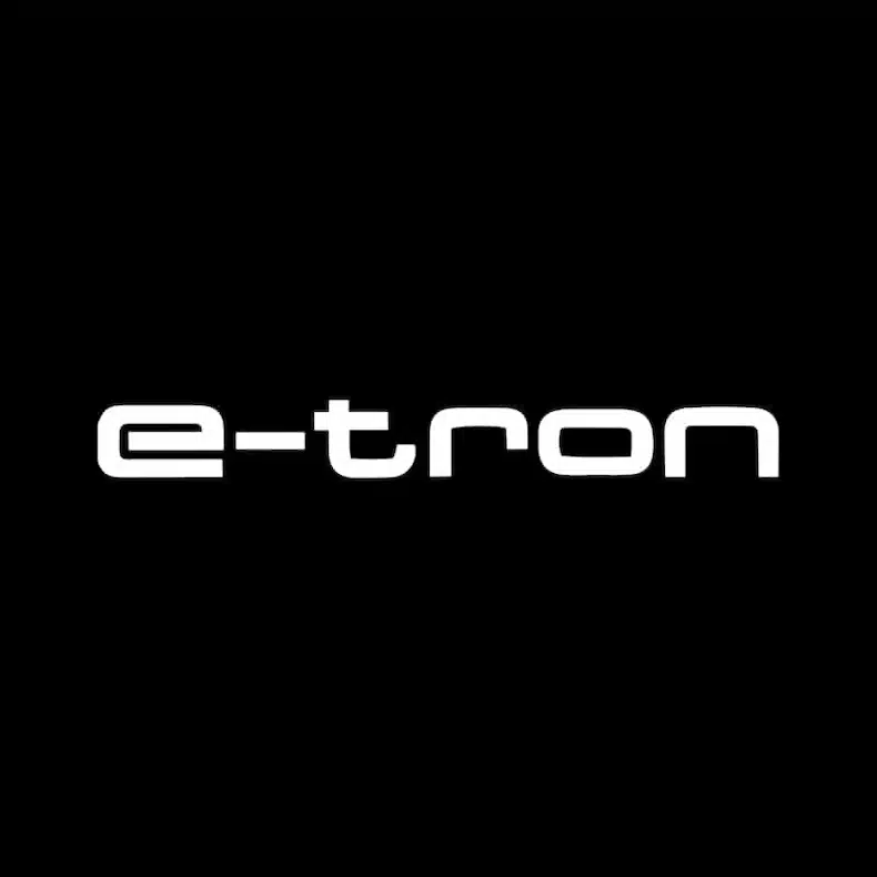 Audi E-tron Door Lights