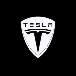 Tesla Welcome Light