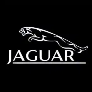 Jaguar Door Light Logo​